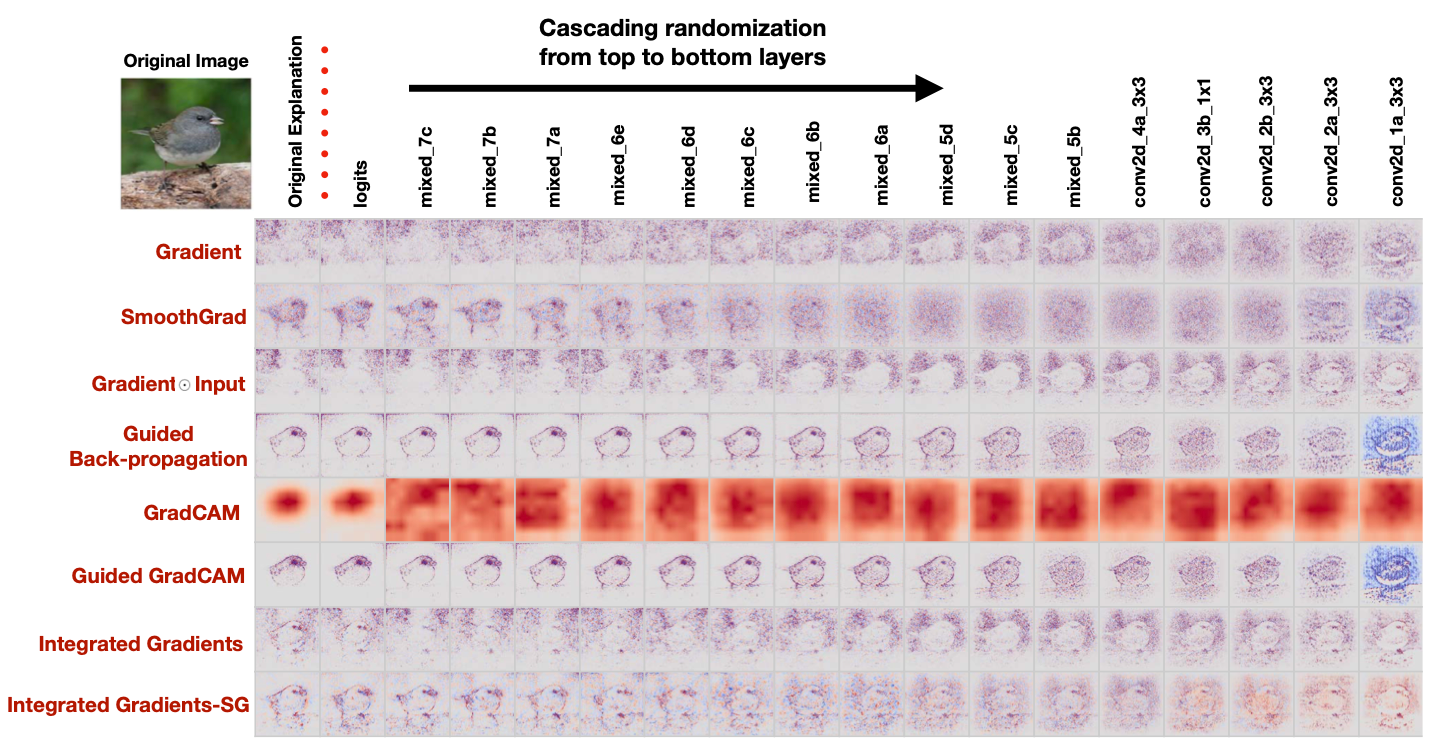 Sanity Checks for Saliency Maps