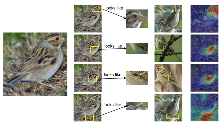This Looks Like That: Deep Learning for Interpretable Image Recognition