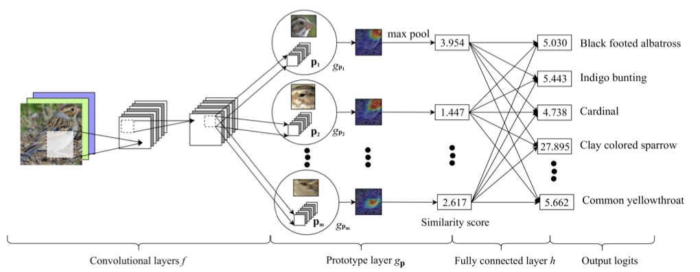 This Looks Like That: Deep Learning for Interpretable Image Recognition ...